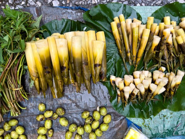 Bamboo Shoots Health Benefits and Healing Properties