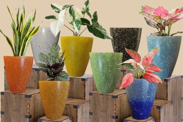 CG Jar Planter